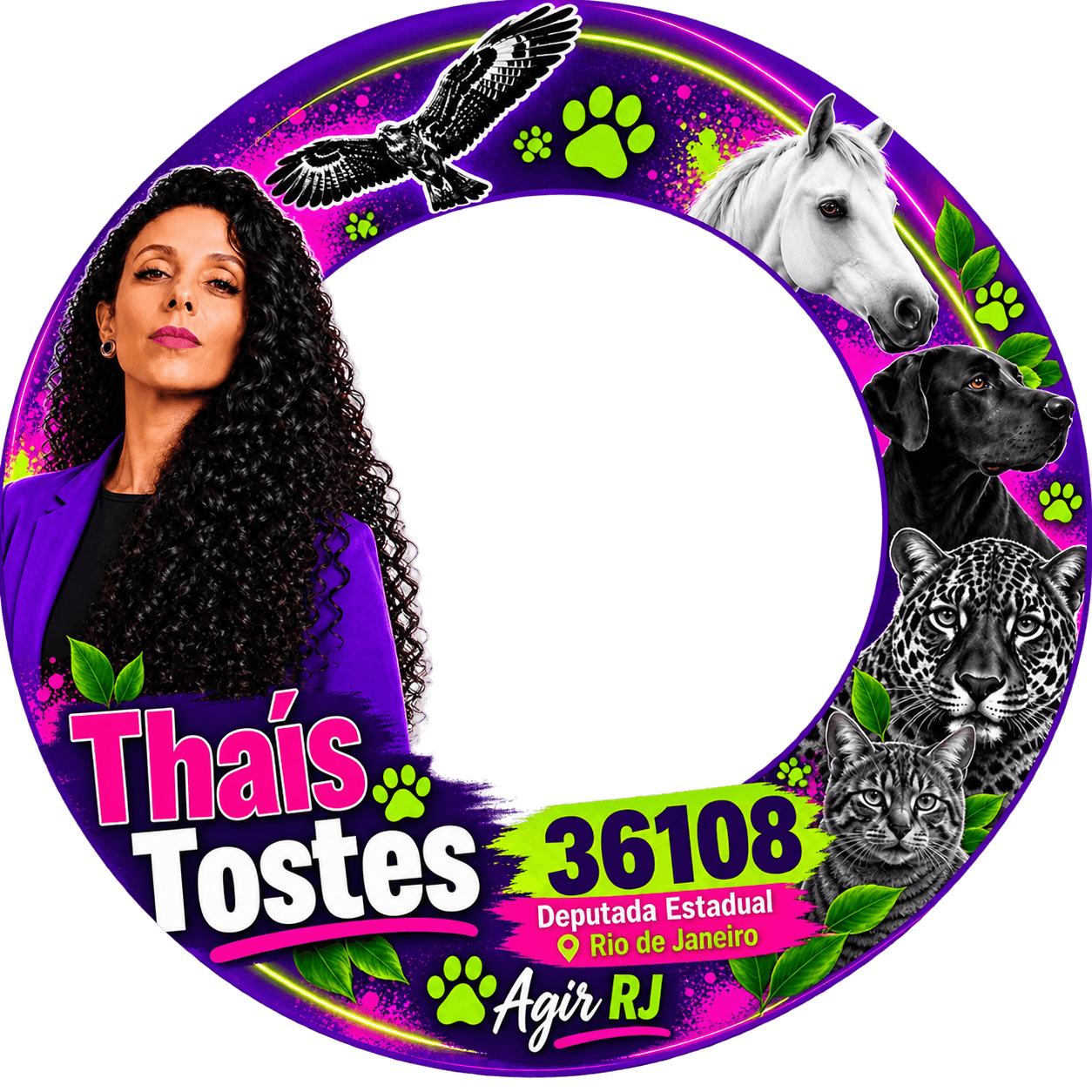 Moldura de Thaís Tostes deputada estadual